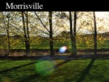 Tree Removal-Trimming Service | Morrisville-Yardley, PA
