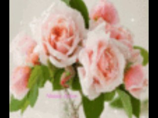 Darko Domijan- Sedam suza