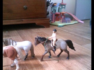 schleich chevaux