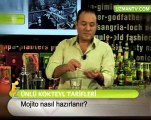 www.turkishlight.org  Mojito nasıl hazırlanır