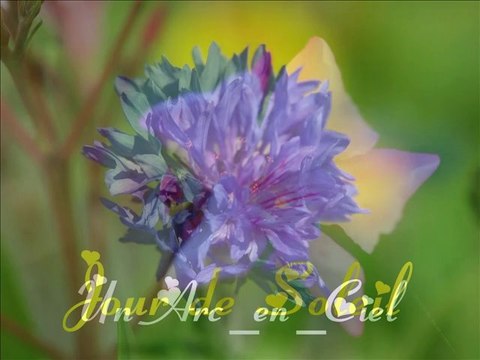 LE PRINTEMPS & A L' IMAGE DU TEMPS..