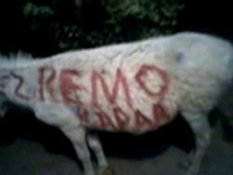 SIWAR HAT Û PEYA ÇÛ RAMAZAN KAPAR Derik mardin