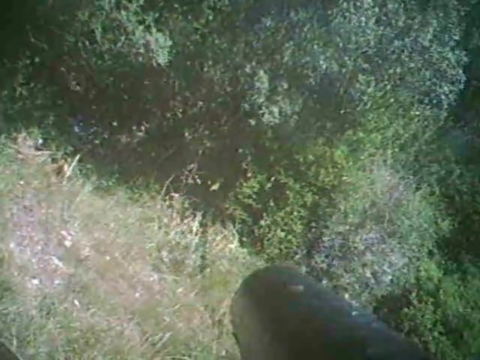 paintball