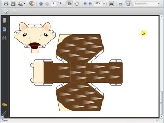 enregistrer les images des documents PDF