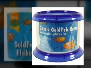 Pet supplies UK for your dog