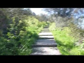 marathon des sables 2011