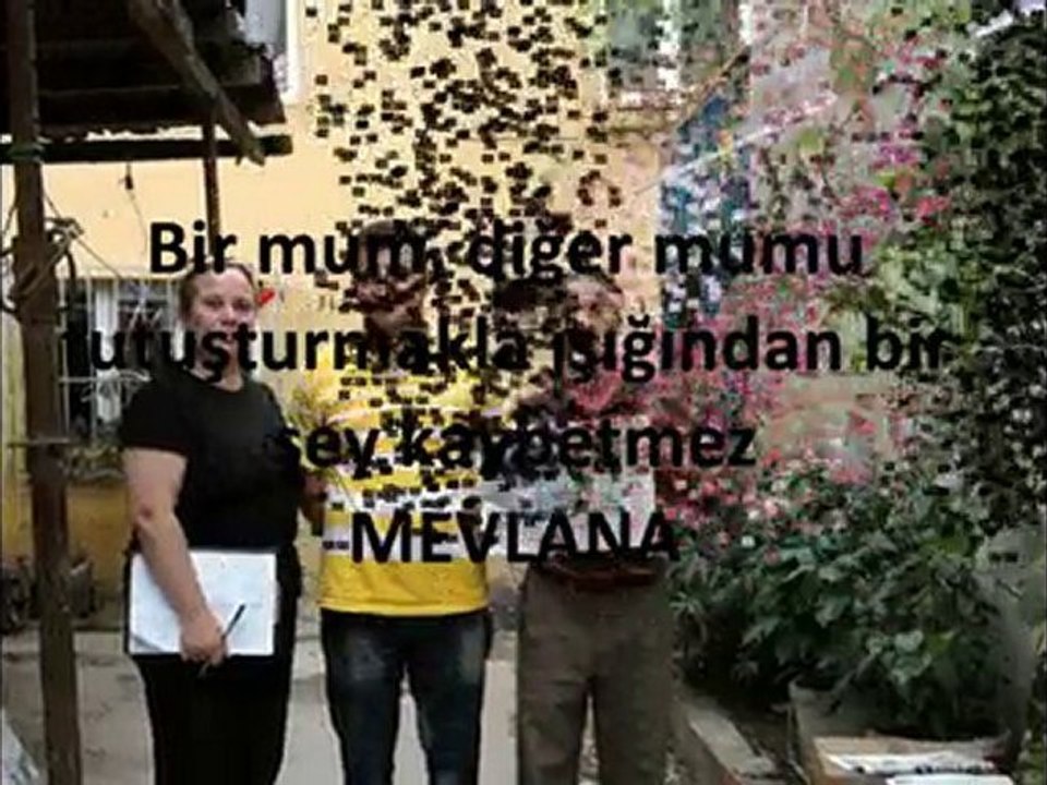 ''SENDE EL VER '' MHP BAŞAKŞEHİR  İLÇE TEŞK. KADIN KOLLARI