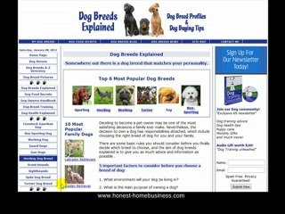 HOME BASED BUSINESS VIDEO TRAINING. PART 5