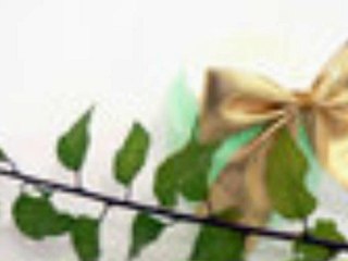 TV Software for PC-Watch TV on Your PC-Free