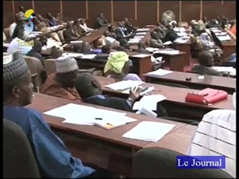 PETIT JT FRANCAIS DU 20/01/2011 TCHADONLINE.TV