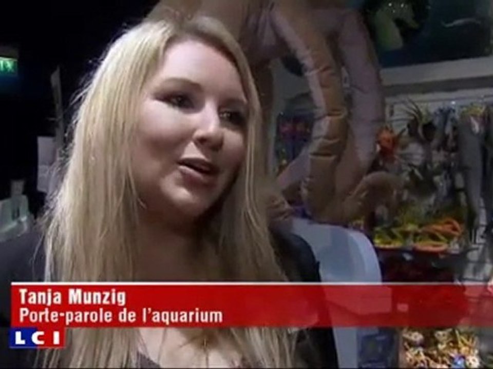 Paul le poulpe et son mausolée !!!