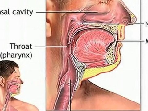 Cancer-Facts-How-Does-Lung-Cancer-Develop-