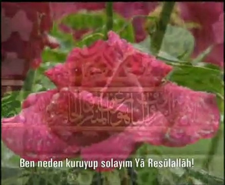 Kırık Mızrap Klipleri 17 - İnleyen Bir Nayım