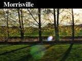 Tree Trimming-Pruning Service | Morrisville-Yardley, PA
