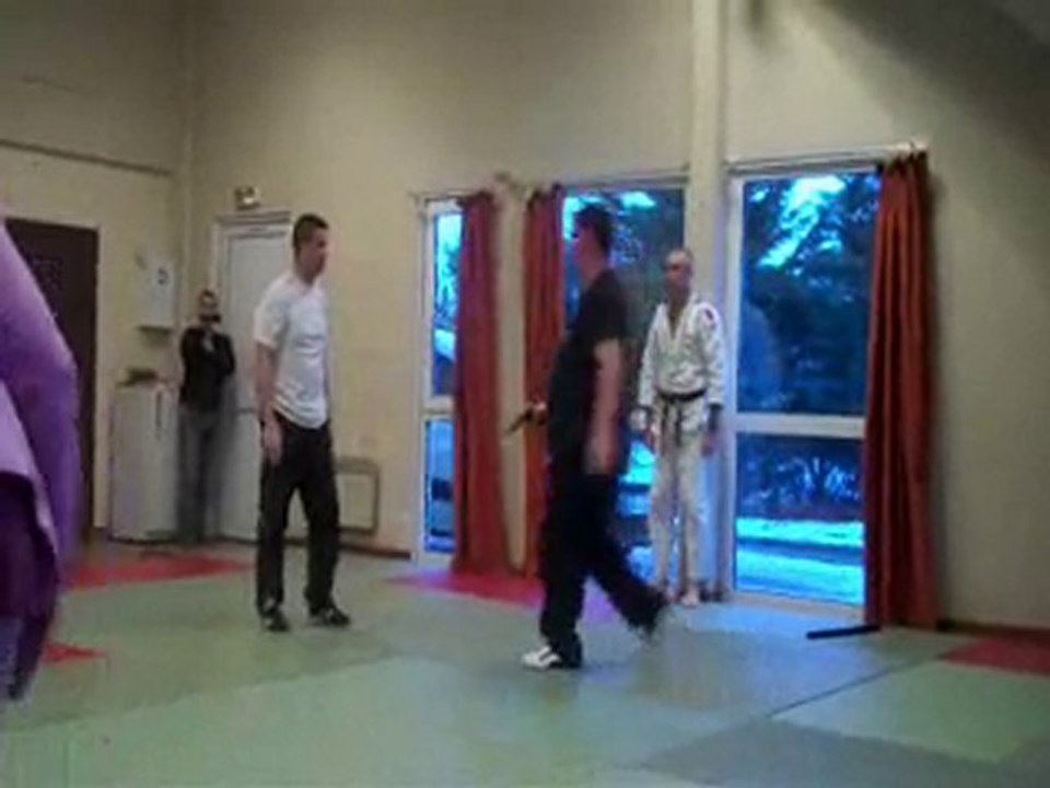 vidéo démonstration krav maga / krav-maga / esf 77