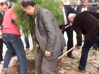 ceyhan-agac