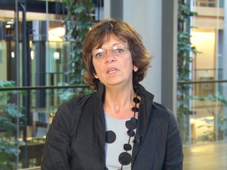 Compte-rendu de la session du Parlement européen, 01/2011