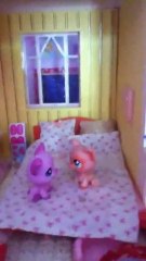 Bêtisier Petshop Numero 1