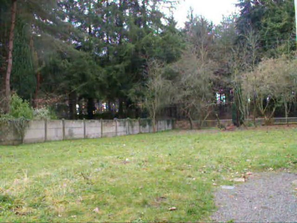 rottweiler 6 mois "obeissance 2 F'GAÏA"