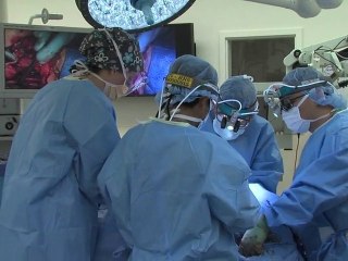 Une greffe qui donne de la voix