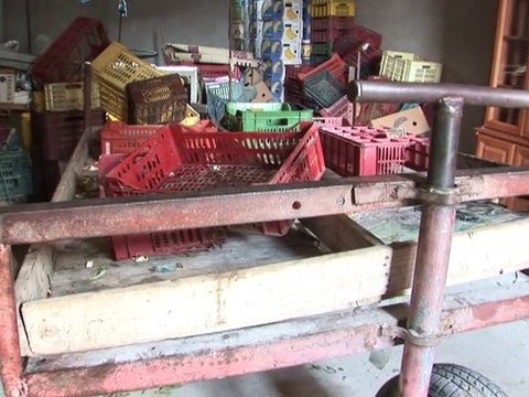 Gulf bids for Tunisian protest hero's cart