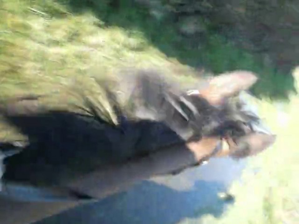 Mission caméra embarquée 2