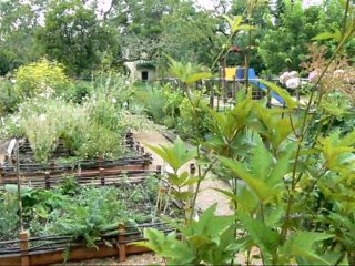 Visite de Cardaillac Lot)