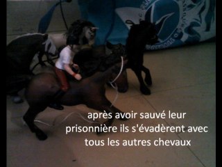 schleich chevaux