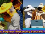 beekeeping for beginners courses - beekeeping for dummies