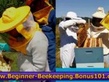 urban beekeeping bible - beekeeping ebook download - bookkee