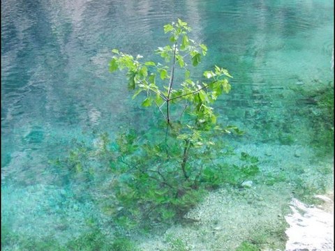 fontaine de vaucluse