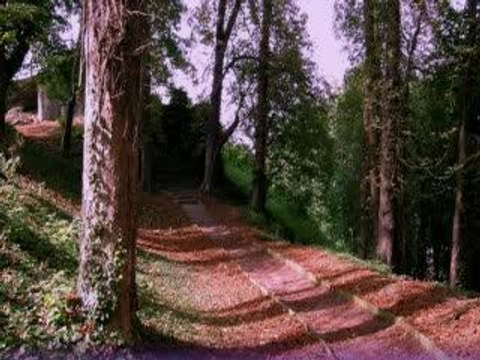 clip les wriggles: poupine & thierry