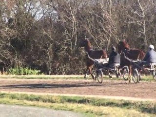 TONIC CORDIERE EN REPRISE