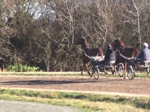 TONIC CORDIERE EN REPRISE