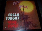 Ercan Turgut - Gözyaşı Oldu