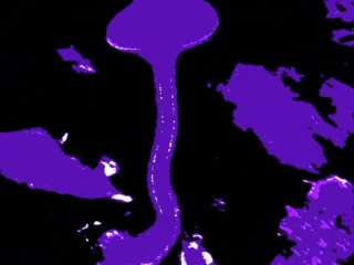 Paul Kalkbrenner world mad  KOURTEK