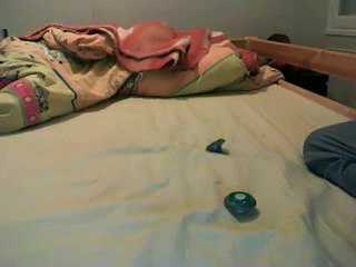 Rock leone Vs Gemios fusionné