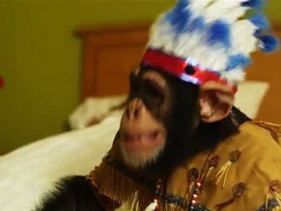 Funny Commercial With A Monkey In It