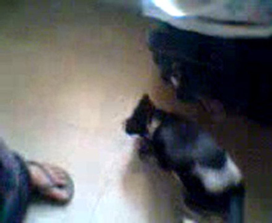 Video0075