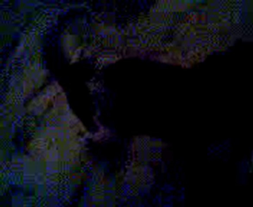Video0078