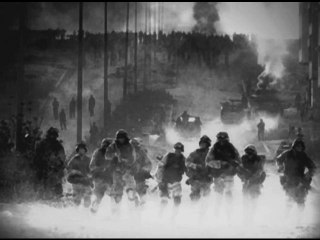 La chute du faucon noir (Dans l'ombre)