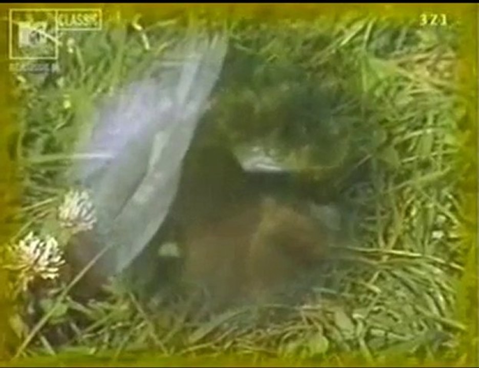 Urszula - Dmuchawce, latawce, wiatr