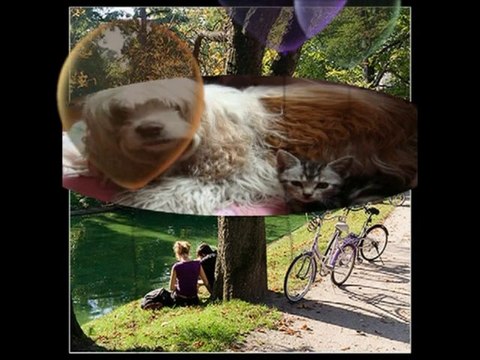 Mes Petits Bonheurs....