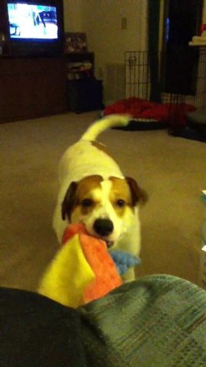 Precious Playing