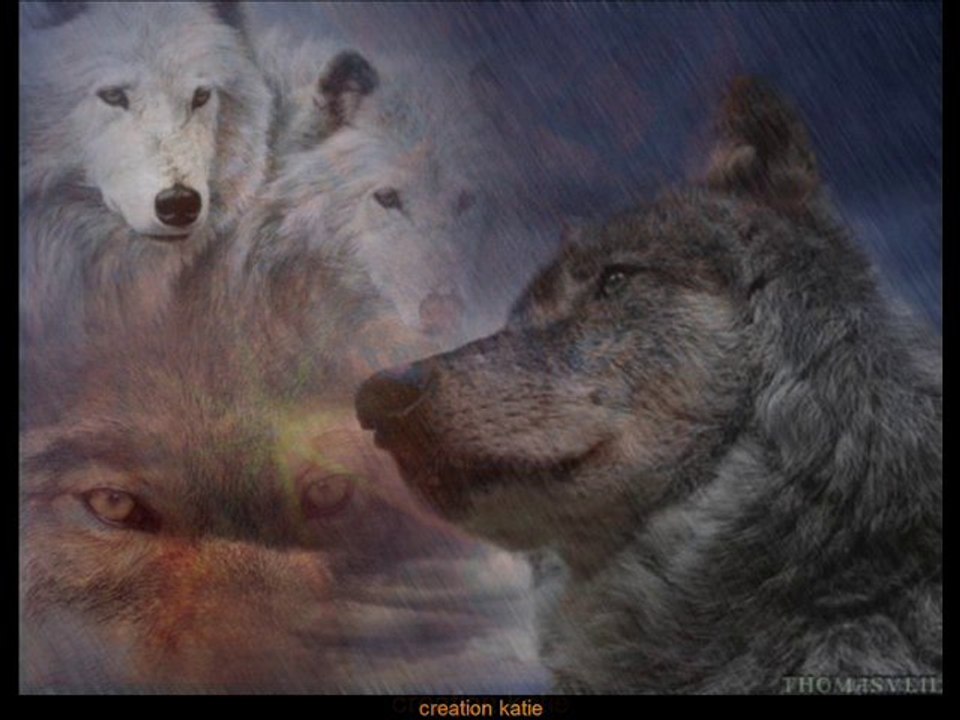 karunesh - moon in the water