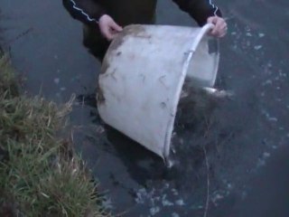 rempoissonnement  12/01/2011