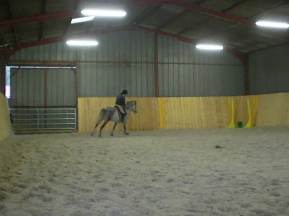 changement de pied au galop