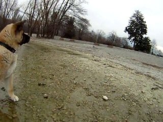 2011-01-22 - Lac du Bourget - 1