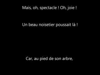 La Noisette (Isabelle Krief)