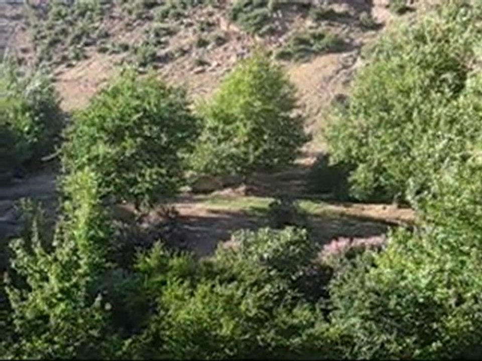 Dedemli Köyü 22 Ocak 2011